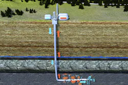 selvanegra/iStock selvanegra/iStock