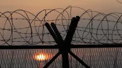 Content Dam Ww Online Articles 2017 07 1490186585 Content Dam Ww Online Articles 2017 07 1490186585