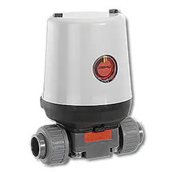 1808iwwshw P05 1808iwwshw P05