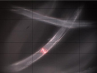 Content Dam Ww Online Articles 2019 01 Iww Microplastics 190752 Web