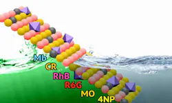 Content Dam Ww Online Articles 2019 02 Ww Credit Allen Dressen 1 Rudnchemists Content Dam Ww Online Articles 2019 02 Ww Credit Allen Dressen 1 Rudnchemists