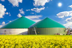 fotojog/iStock fotojog/iStock