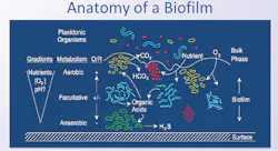 1906 Iw Wft2 P02 1906 Iw Wft2 P02