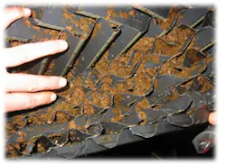 1906 Iw Wft2 P03 1906 Iw Wft2 P03