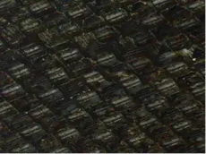 1906 Iw Wft2 P06 1906 Iw Wft2 P06