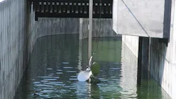 Despite the lockdown, Landia has kept busy winning pump and mixer orders. Despite the lockdown, Landia has kept busy winning pump and mixer orders.