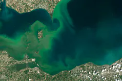 Blue-green algae bloom in Lake Erie. Blue-green algae bloom in Lake Erie.
