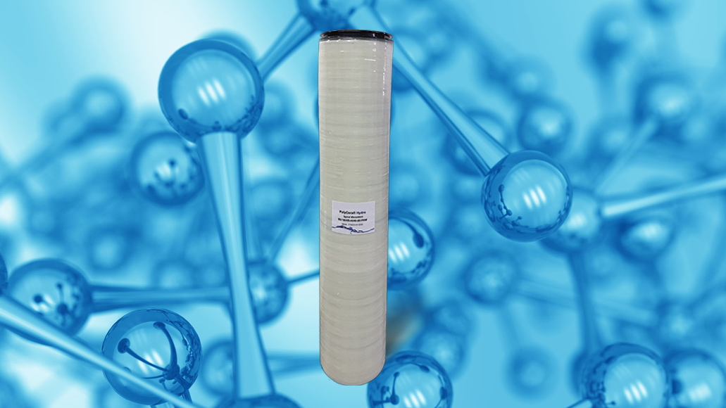 Polycera From Web 5f1609057bd01