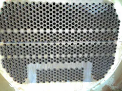 2012 W Tft3 P08 Figure 4 C Figure 4 Bottom Left 2012 W Tft3 P08 Figure 4 C Figure 4 Bottom Left