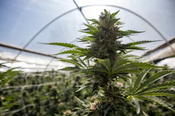 2102 W Tf0 P02dreamstime Xl 204233578 2102 W Tf0 P02dreamstime Xl 204233578