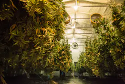 2102 W Tft0 P03 Dreamstime Xl 136745684 2102 W Tft0 P03 Dreamstime Xl 136745684