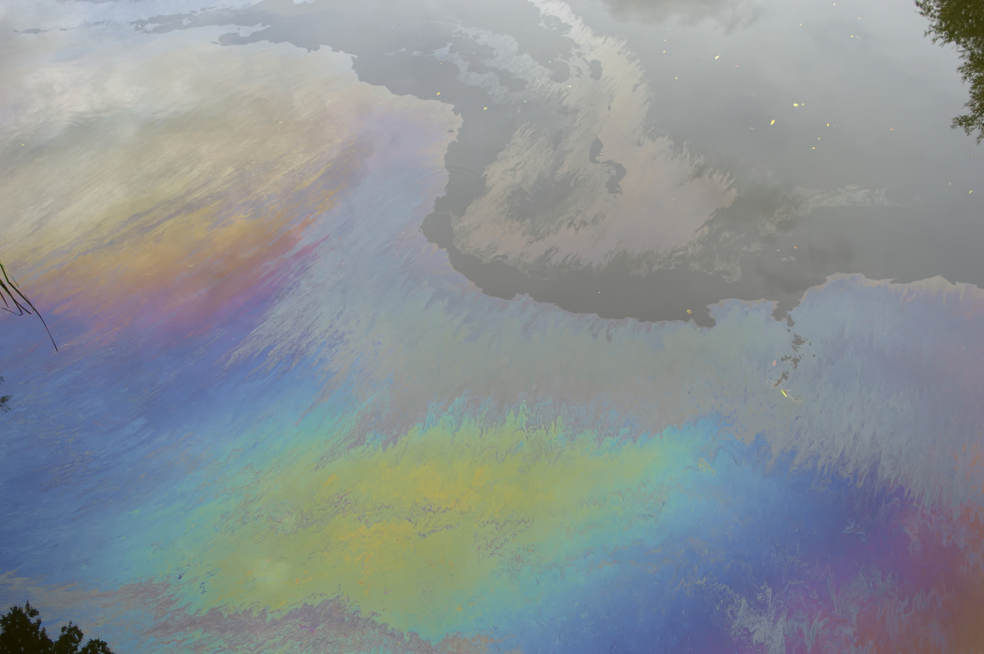 Dreamstime M 43045221 605c991aec0e9