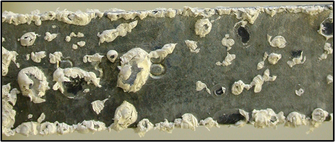 Figure 1. White rust on galvanized steel.