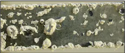 Figure 1. White rust on galvanized steel. Figure 1. White rust on galvanized steel.