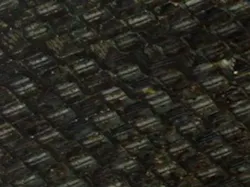 Figure 4b. The same fill after peroxide cleaning. Figure 4b. The same fill after peroxide cleaning.