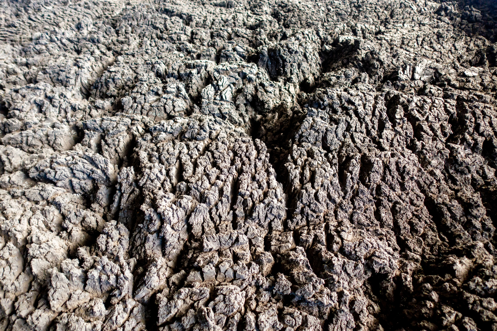 Dreamstime M 225377079 61536e1713d9f