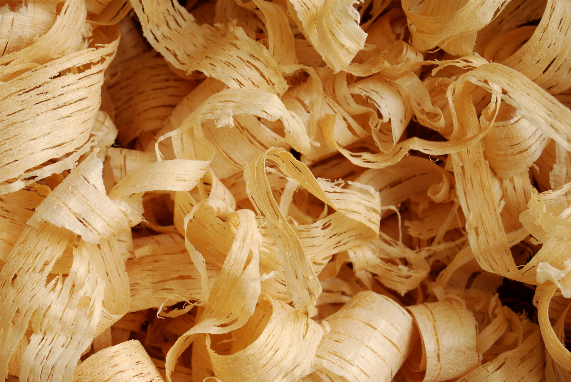 Dreamstime Xxl 17781219 620a7aa782427