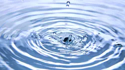 Dreamstime Xxl 142339837 6262cb56973e2 Dreamstime Xxl 142339837 6262cb56973e2