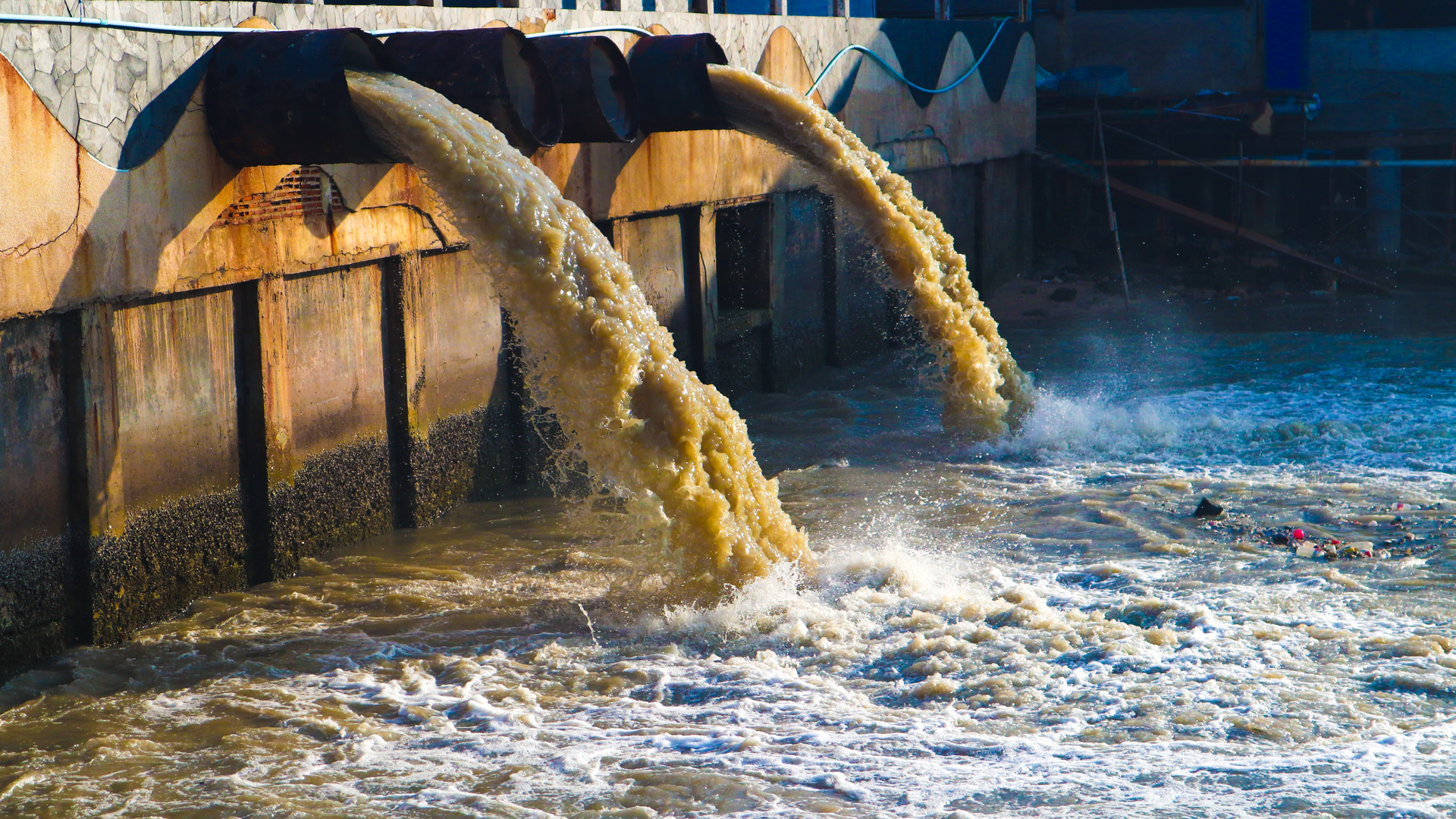 Dreamstime Xxl 149004804 64595d8d19f30