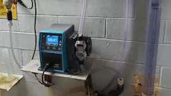 Wm Article 1 64c80fd14e17b Wm Article 1 64c80fd14e17b