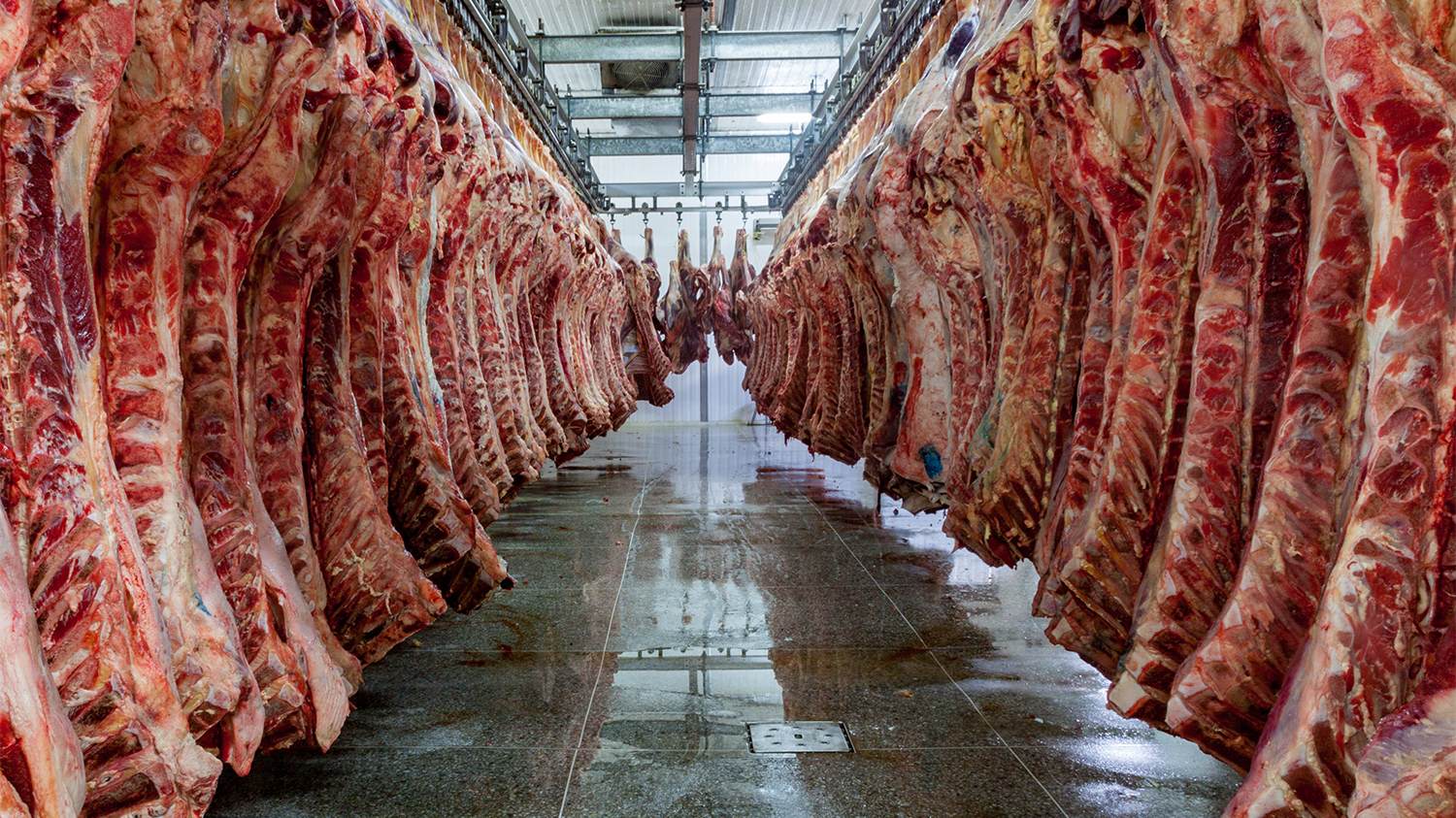 Adobe Stock 491347203 64e3d0967d0e3