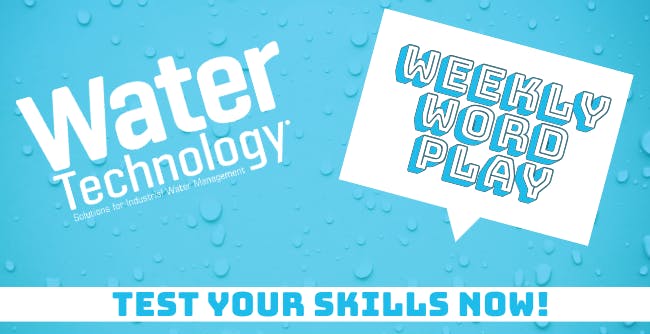 6716c5a071a3682ce34da06d Wt Word Play Cover