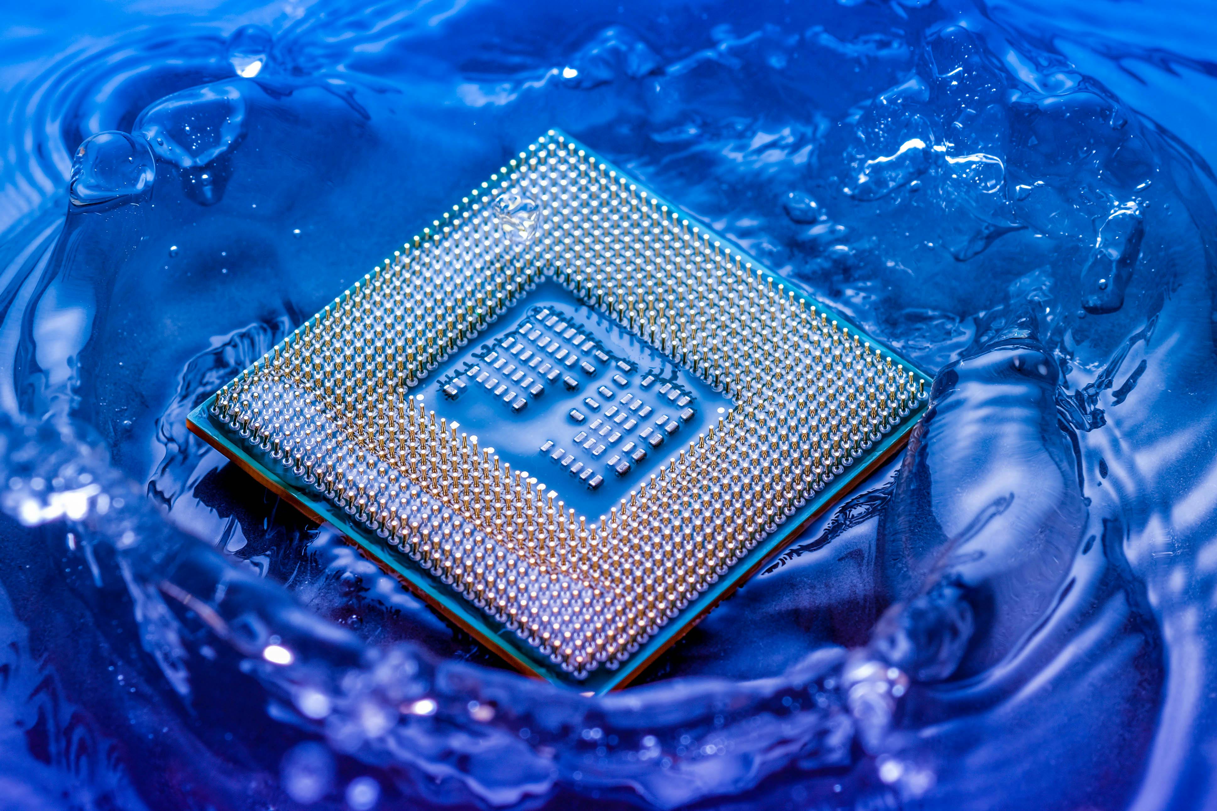 6744b65863c2a14b45b734f0 Shutterstock 1050877616 004