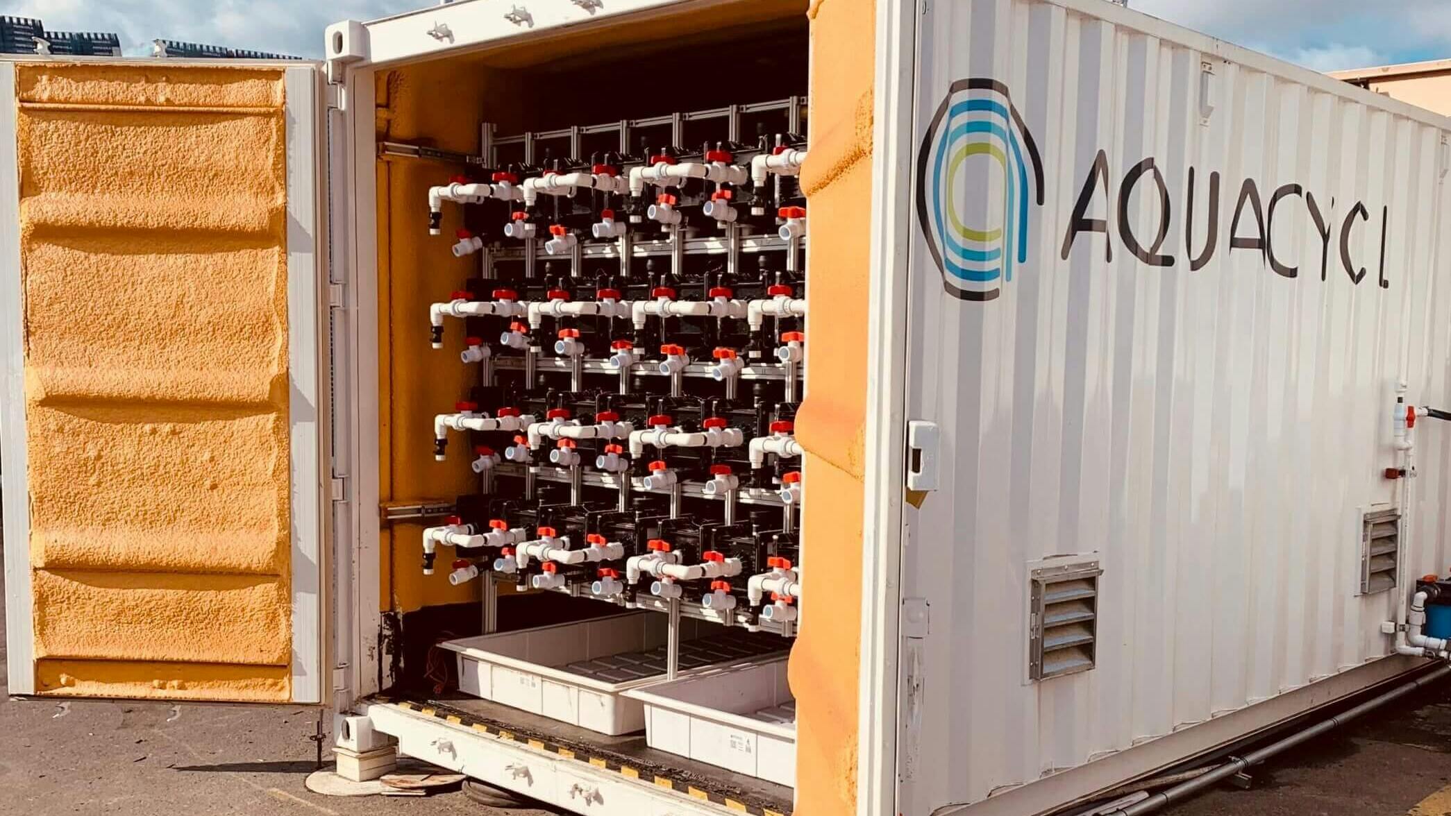 systeminstalledopenback3scalede1728585578610