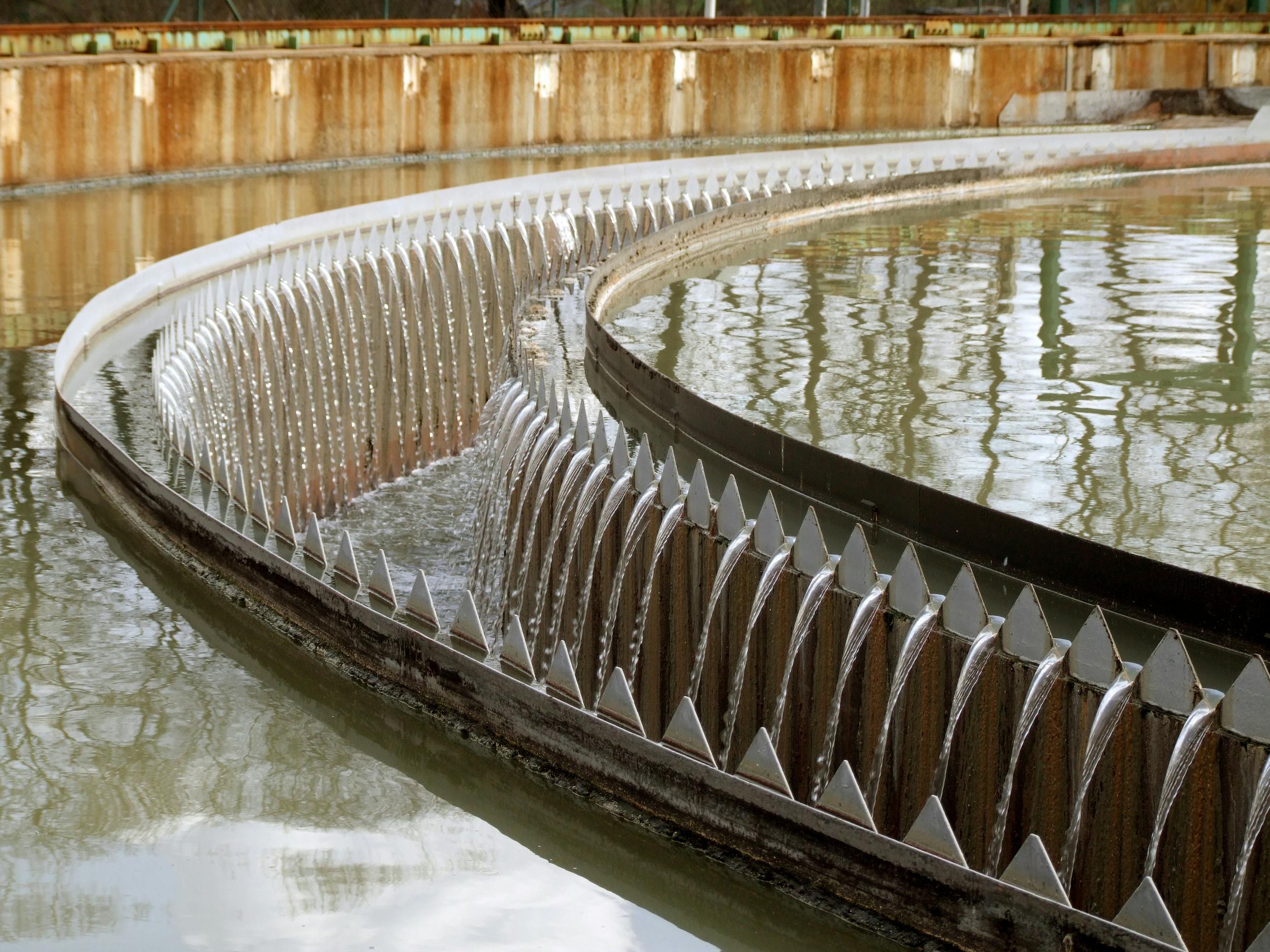 dreamstime_l_4692923