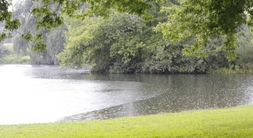 california_water_permit_image_2272026