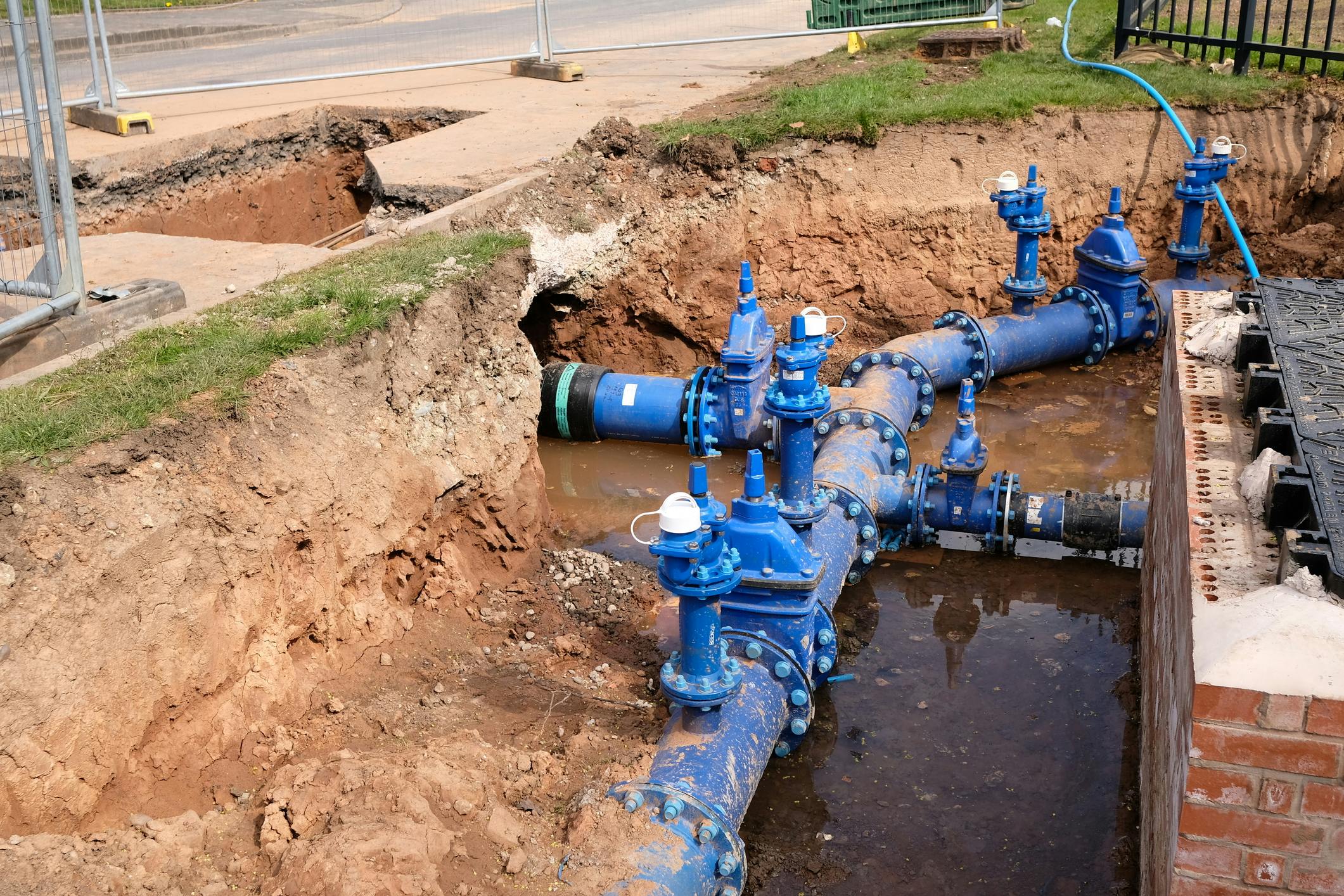 affinity_image_3122026