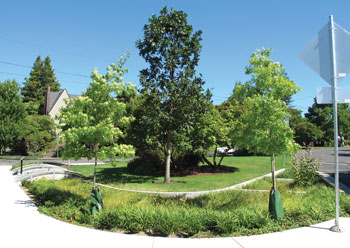 Aging Infrastructure 4 Greenstreets Alameda Island Klickitat