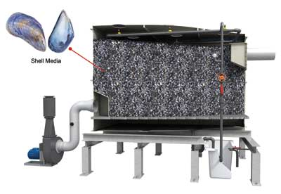 Anua Monashell 1212ww