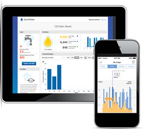 Badger Beacon Ama Eyeonwater Consumer Portal