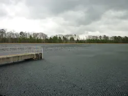 Balls Covering Lake Balls Covering Lake