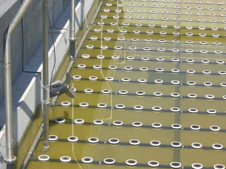 Bulgaria Diffuser Bed With