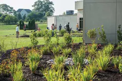 Chesapeake 16 1311ww Chesapeake 16 1311ww