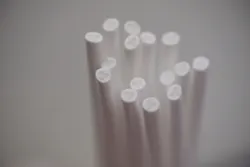 Close Up Of Tribore Fibres Web Close Up Of Tribore Fibres Web