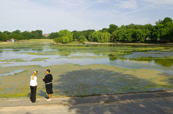 Green Inf 1 Excess Nutrients Usepa