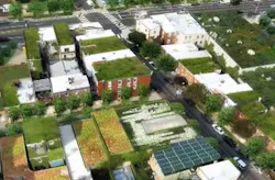 Green Inf 3 Philadelphia Green Roof Green Inf 3 Philadelphia Green Roof