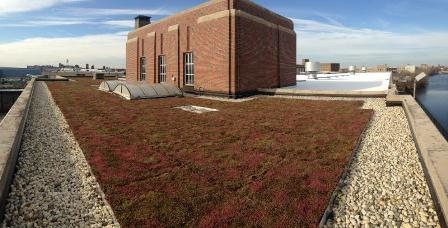 Green Roof