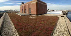 Green Roof Green Roof