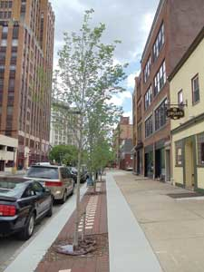 Jobs Savetherain 1304ww