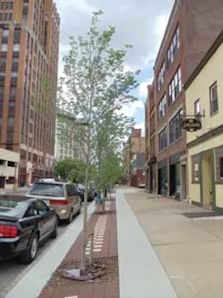 Jobs Savetherain 1304ww Jobs Savetherain 1304ww