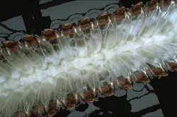 Kruger Actiflo 1305ww Kruger Actiflo 1305ww