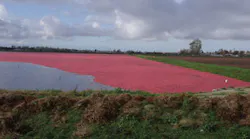 Ksb 106 Fig 1 Dscf5590 Ksb 106 Fig 1 Dscf5590