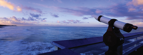 Market Istock 000009265573xxlarge