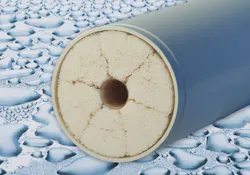 Membrane Analysis Module Membrane Analysis Module