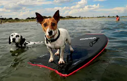 Mobile 7196410581 Mobile 7196410581