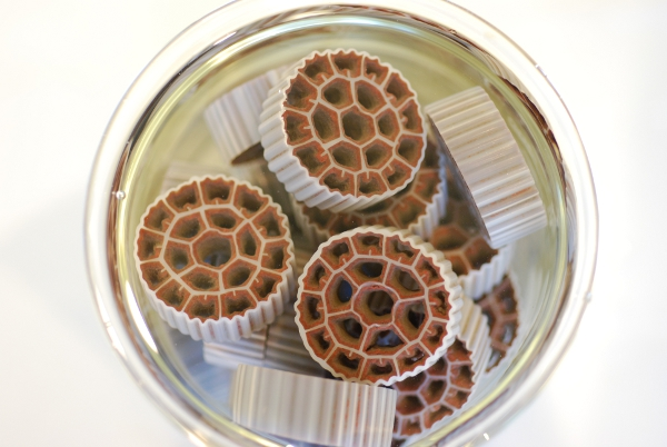 Nutrient Recovery Biocarriers Web